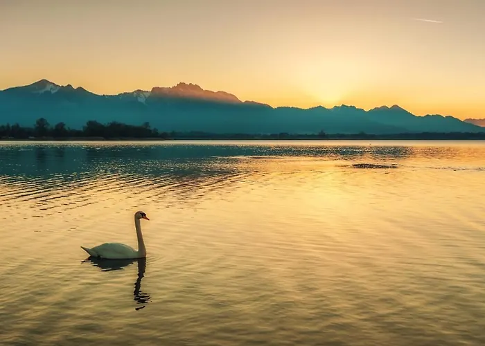 Chiemseenest - Romantische Am Chiemsee Mit Sommer Seezugang 公寓 *